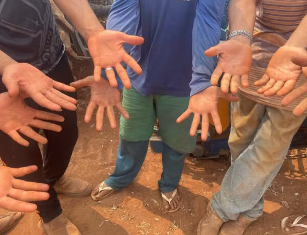 Brasil bate recorde em 2025 de denúncias de trabalho análogo à escravidão