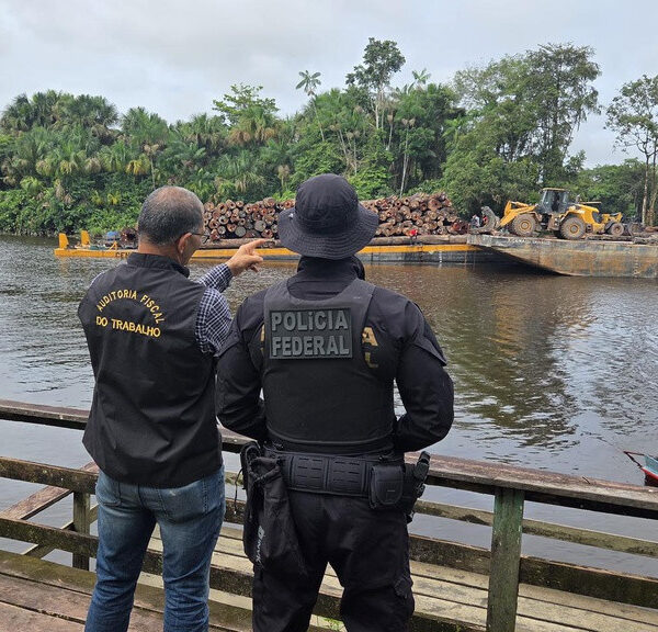 PF e AFT realizam fiscalização em área de manejo florestal em Mazagão/AP
