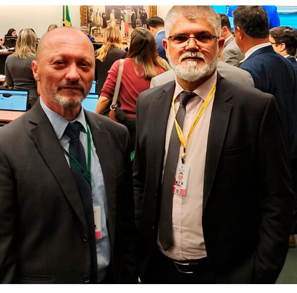 PEC 24/2024: CCJC aprova relatório que permite recompor direitos previdenciários